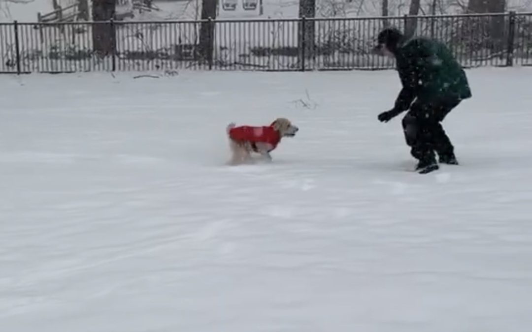 PLAYLIST for 3/1/2026 and OnDemand Player