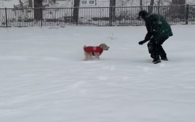 PLAYLIST for 3/1/2026 and OnDemand Player