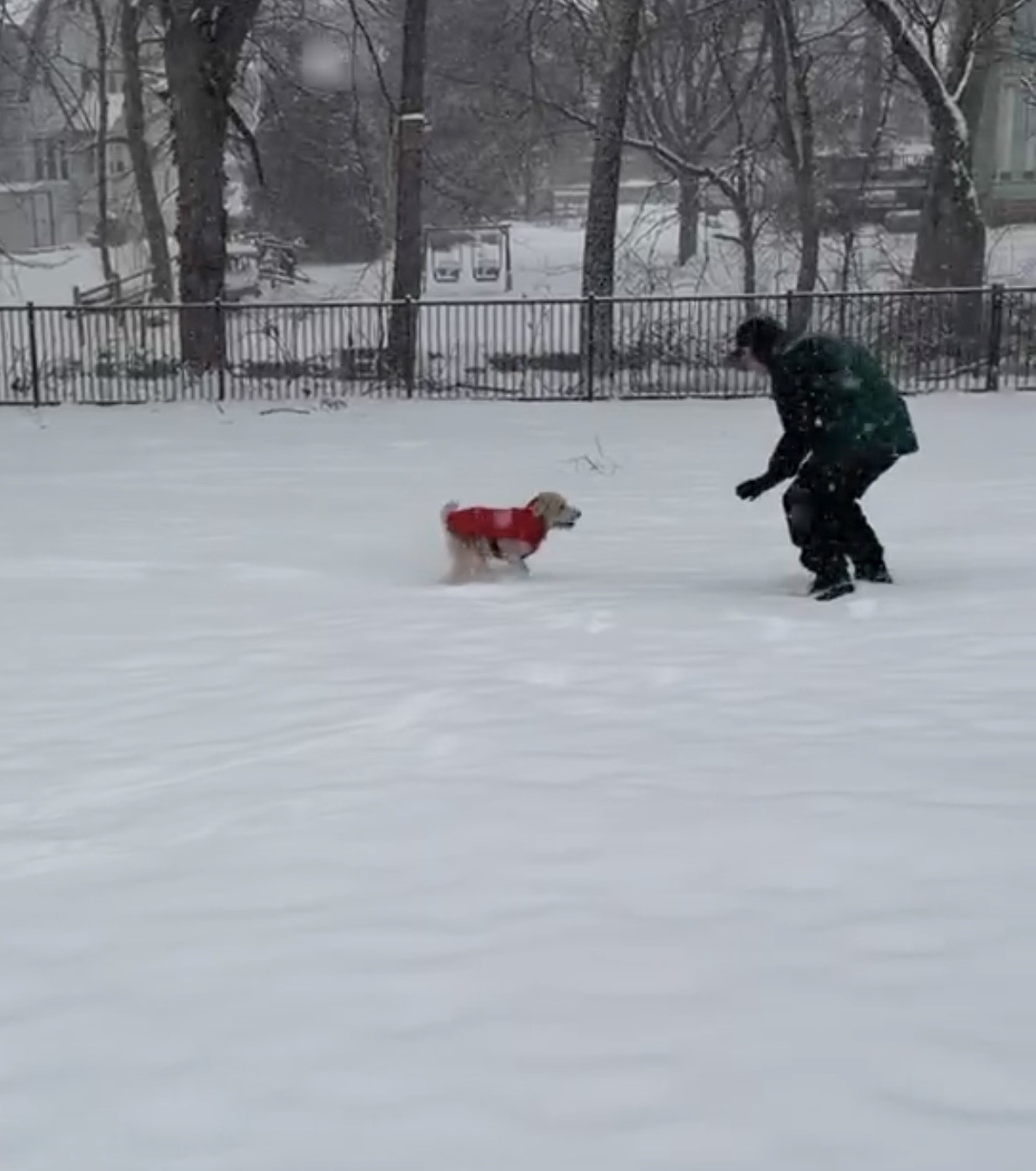 1cf3b859-c78d-4504-b91d-5058e50453fc